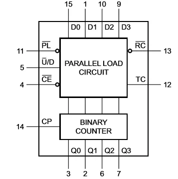 1625043577108864.jpg 1.jpg